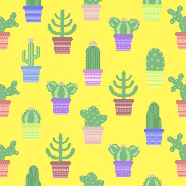 Cactus wzornictwo
