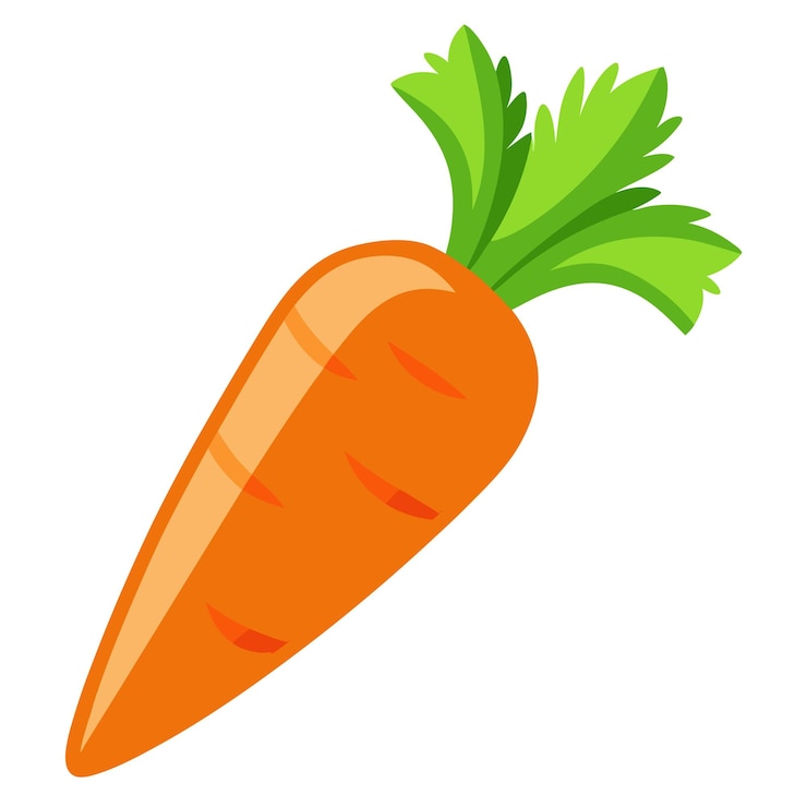 Wektor carrot clip art i vector design z białym tłem