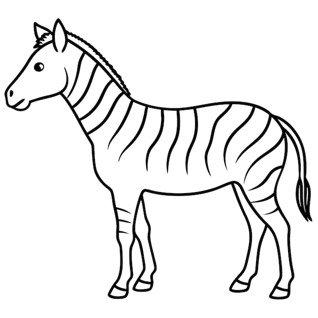 Cartoon Style Simple Line Art Rysunek Chapmans Zebra Wektorowy Projekt i Ilustracja