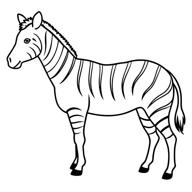 Cartoon Style Simple Line Art Rysunek Chapmans Zebra Wektorowy Projekt i Ilustracja