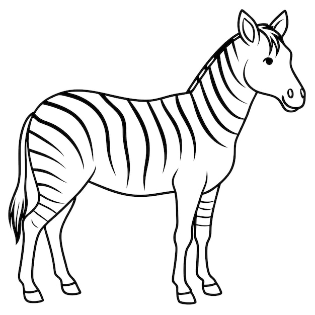 Cartoon Style Simple Line Art Rysunek Chapmans Zebra Wektorowy Projekt i Ilustracja