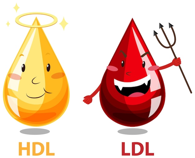 Charaktery dobrego i złego cholesterolu