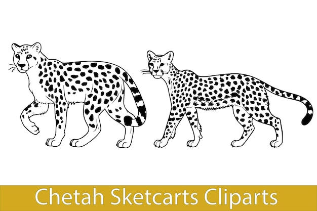 Chetah Sketcarts Cliparts