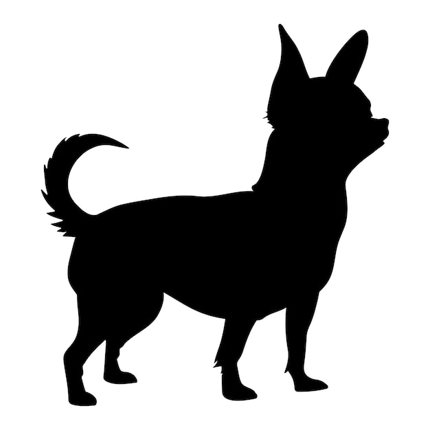 Chihuahua sylwetka psa ikona symbol ilustracji wektorowych