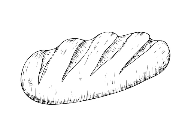 Chleb wektorowy i pieczarnia atrament graficzny chleb pełnoziarnisty chleb ciabatta brązowy domowy baguette bun