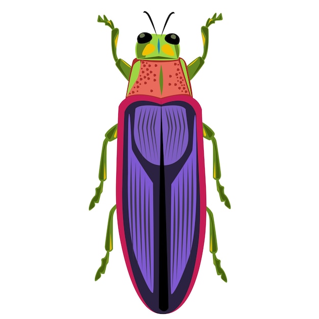 Plik wektorowy chrysochroa fulminans ilustracja wektorowa karaluch świetlik