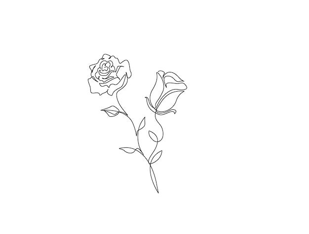 Plik wektorowy ciągły jednoliniowy rysunek kwiatu róży kontur kwiatów róży