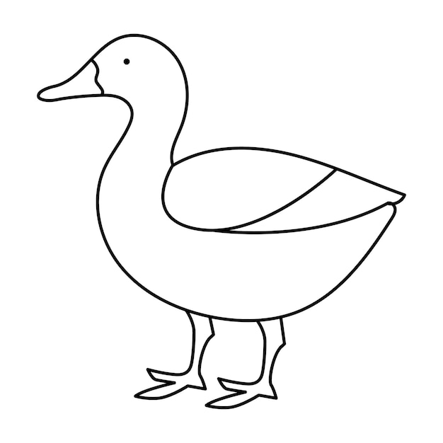 ciągły rysunek pojedynczej linii kaczki ptaka wodnego ilustracja artystyczna wektorowa