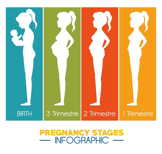 Ciąża I Macierzyństwo Infograhiczne