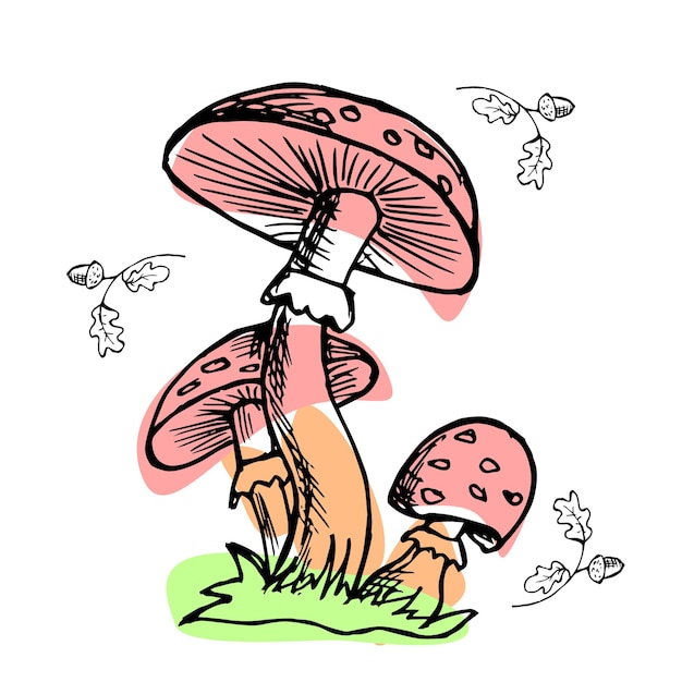 Clip art, ręcznie rysowane grzyby, grafika liniowa z dodatkowym kolorem