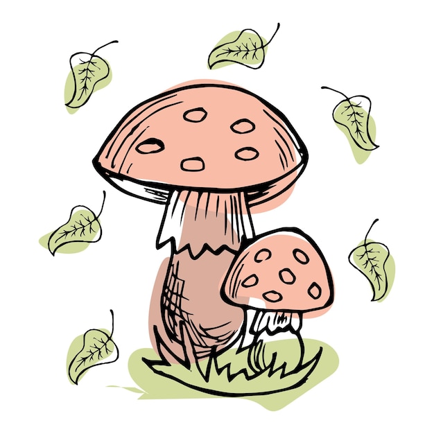 Clip art, ręcznie rysowane grzyby, grafika liniowa z dodatkowym kolorem