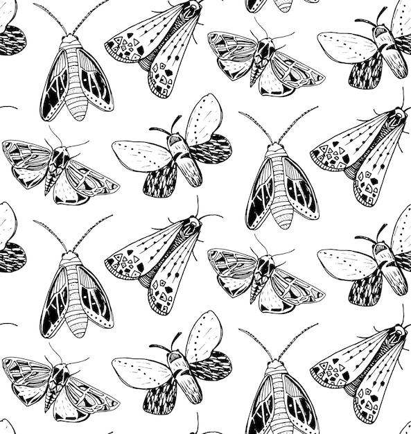 Ćma wzór. Ręcznie rysowane ilustracja latających owadów. Szkice czarno-białe.