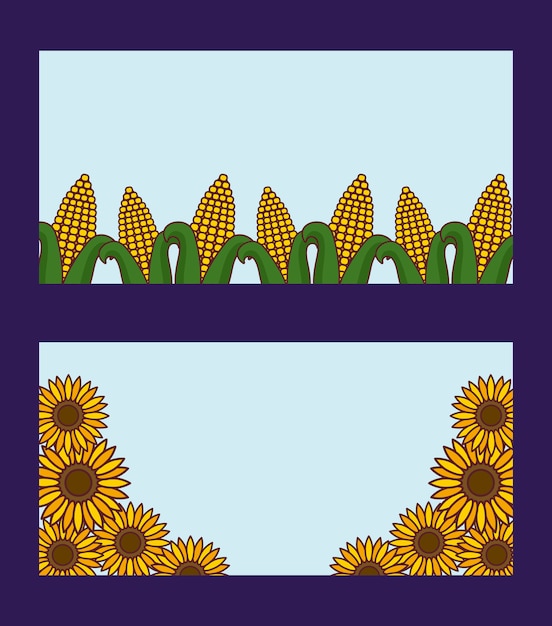 Plik wektorowy cobs and sunflowers, rural card