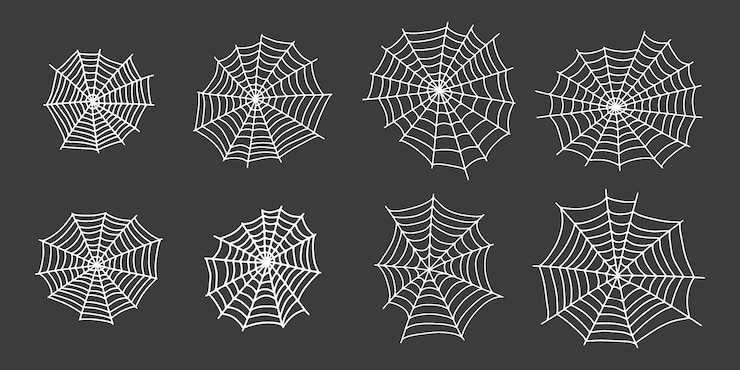Cobweb Spooky Halloween pająka web Wektor izolowana ilustracja Gossamer pająka outline znak