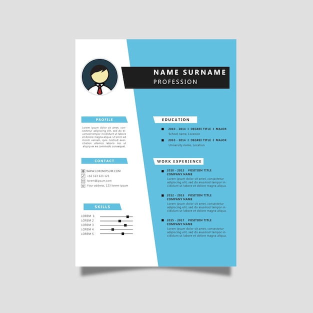 Curriculum Vitae With Blue Color