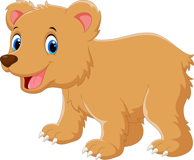 Cute Baby Bear Cartoon