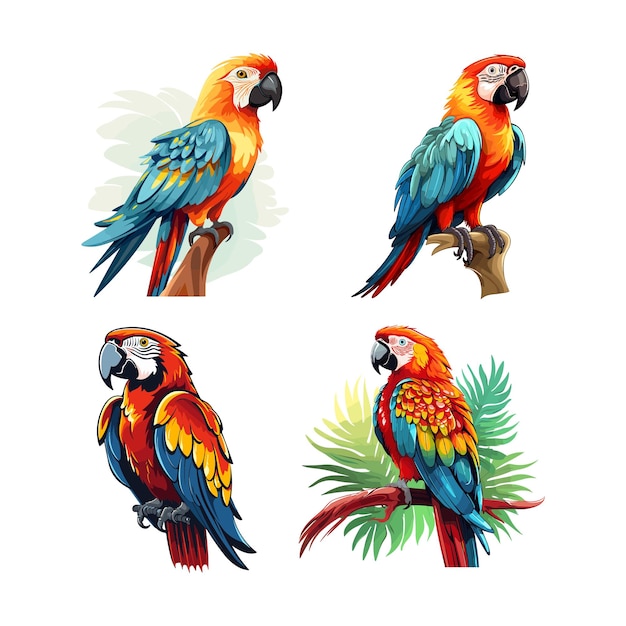 Plik wektorowy cute parrot vector cartoon art ilustracja projektowa