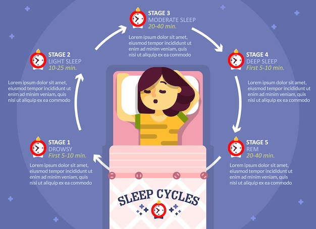 Cykl Snu Infografiki Wektor Edukacji Schemat Plakatu