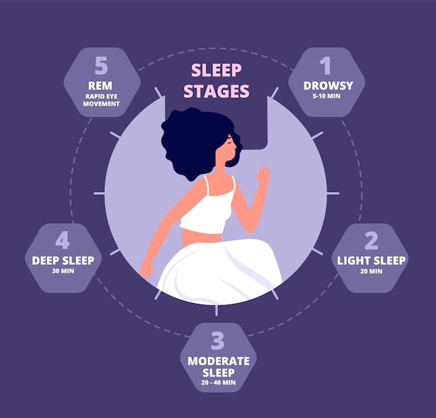 Cykl Snu Zdrowa Biologia Hormony Narażenie Ciała Spanie Powtarzający Się Diagram Reakcja Mózgu Melatoniny Rytm Nocny Wypowiada Plakat Wektorowy