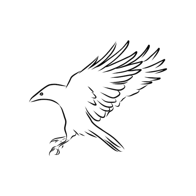 Plik wektorowy czarna sylwetka kruka ptaki obiegowe latająca gawron kruk sroka