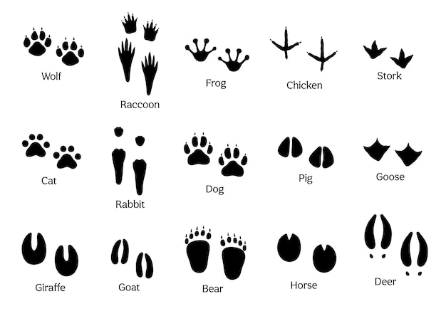 Czarna Sylwetka Odcisków łap Różnych Zwierząt Izolowanych Na Białych Odciskach Stóp Zestawu Wektorowego