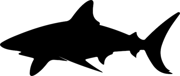 Czarna Sylwetka Rekina Byka Z Przezroczystym Tłem