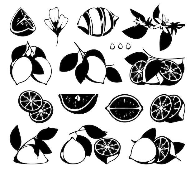 Plik wektorowy czarne cytryny karikaturowa sylwetka organicznych owoców cytrusowych atrament kawałki i gałęzie mandarynki do projektowania druku koncepcja wektora żywności zdrowej