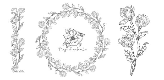 Czarny I Biały. Biała Magnolia. Ilustracja Wektorowa. Ilustracja Botaniczna. Wieniec Kwiatów