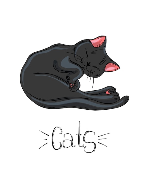 Czarny Kot Rysunek