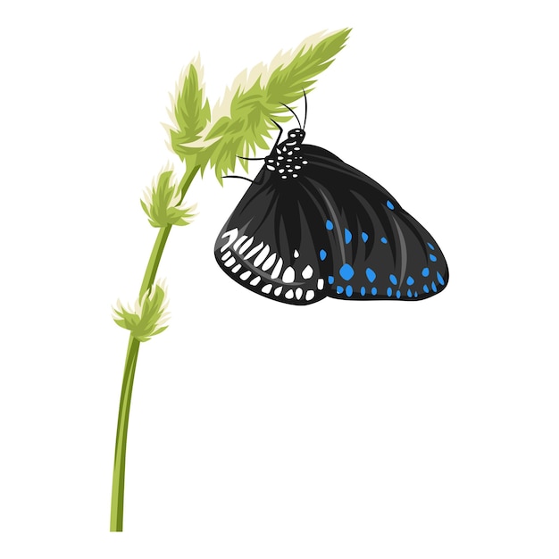 Czarny motyl na zielonej roślinie