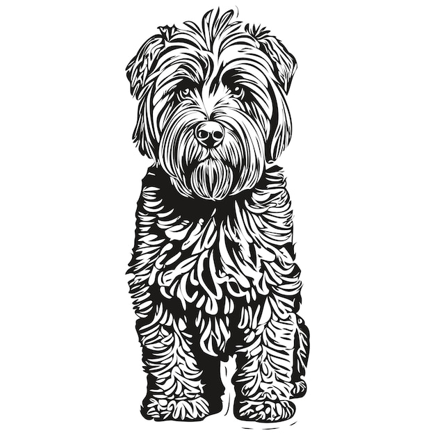 Plik wektorowy czarny terier rosyjski pies realistyczny rysunek ołówkiem w wektor ilustracja liniowa twarzy psa czarno-białe realistyczne rasy zwierząt domowych