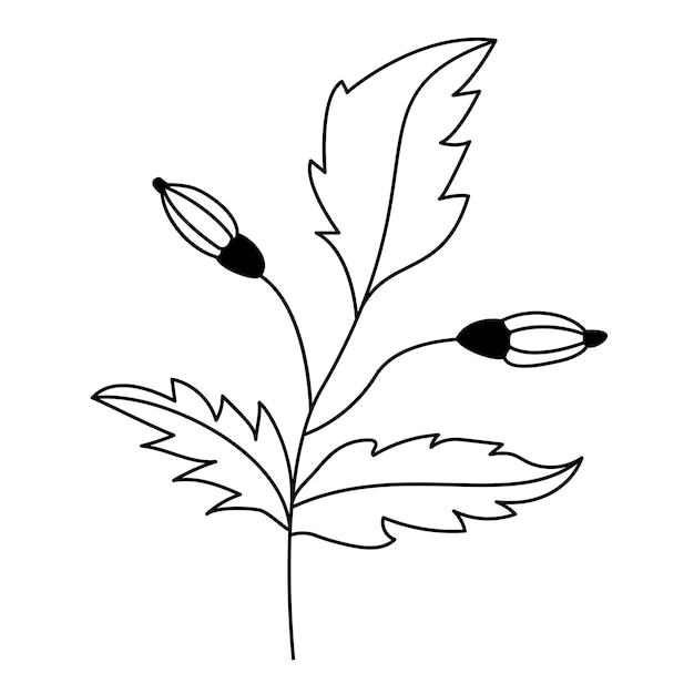 Czarny wektor ręcznie rysowane elementy kwiatowe i botaniczne Jesień