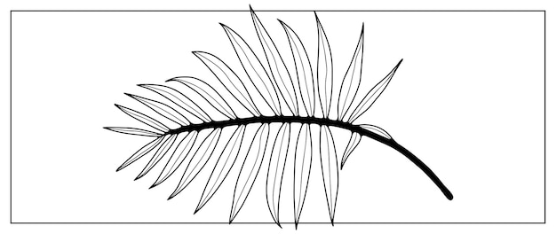 Plik wektorowy czarny zarys dużej gałęzi palmy na białym tle