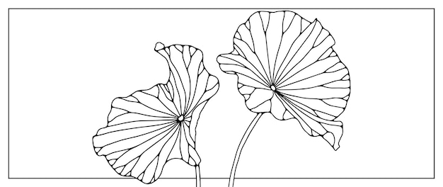 Czarny Zarys Dwóch Liści Lilii Wodnej Na Białym Tle