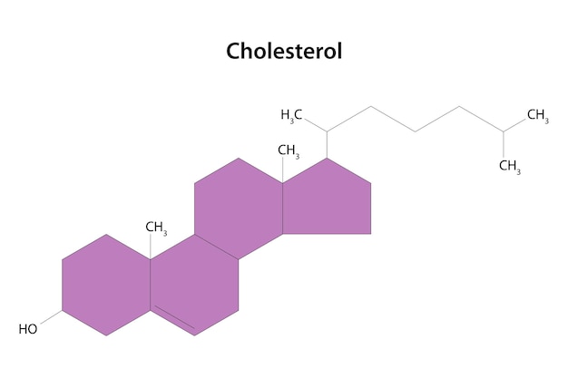 Plik wektorowy cząsteczka cholesterolu wzór strukturalny