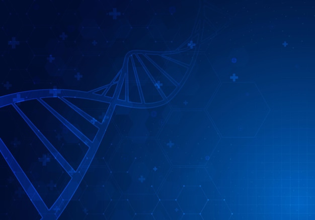 Cząsteczka spiralna DNA Abstrakcyjna wielokątna szkieletowa cząsteczka DNA Spirala spiralna Nauka medyczna