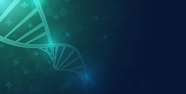 Cząsteczka spiralna DNA Abstrakcyjna wielokątna szkieletowa cząsteczka DNA Spirala spiralna Nauka medyczna