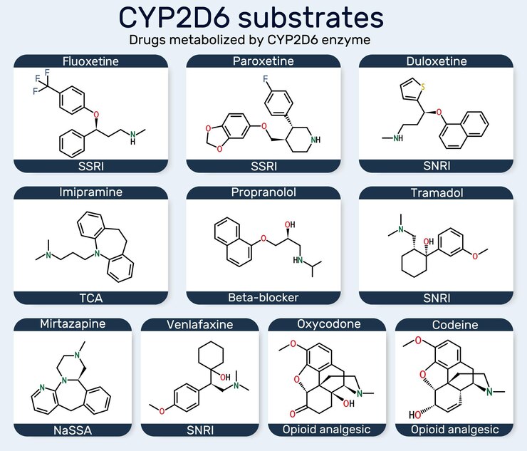 Wektor cząsteczka substratów cyp2d6