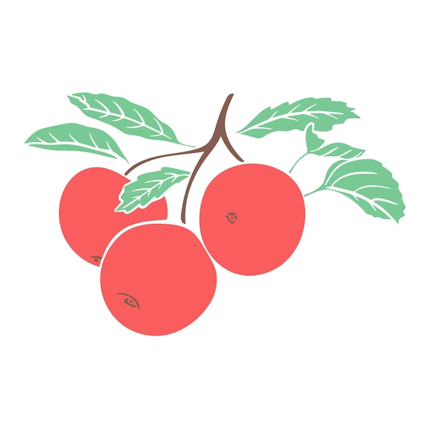 Czerwone Jabłka Na Liściastych Gałęzi Na Białym Tle Ilustracji Wektorowych