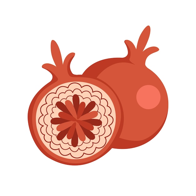 Plik wektorowy czerwony granat w sekcji składnik kuchenny do pieczenia niezależnych potraw ilustracja letnia owoców