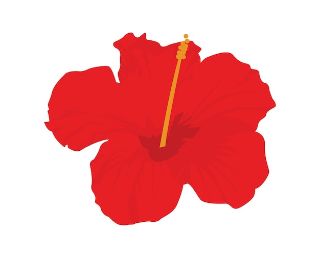 Plik wektorowy czerwony kwiat hibiskusa na białym tle ilustracji wektorowych