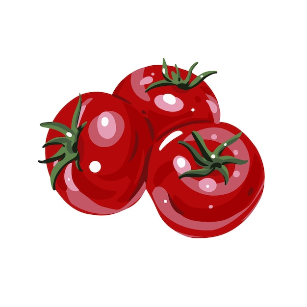 Czerwony Pomidor Ręcznie Rysowane Kolorowy Szkic Realistyczne Wektor Ilustracja Na Białym Tle