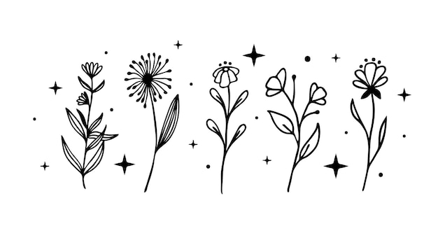 Czeska ilustracja florals z księżycem i gwiazdami