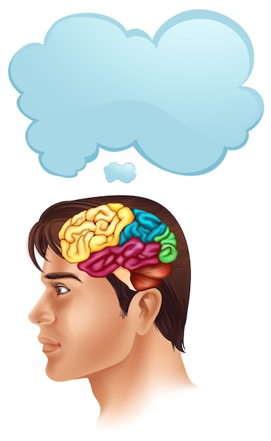 Plik wektorowy człowiek z diagramu mózgu i dymek