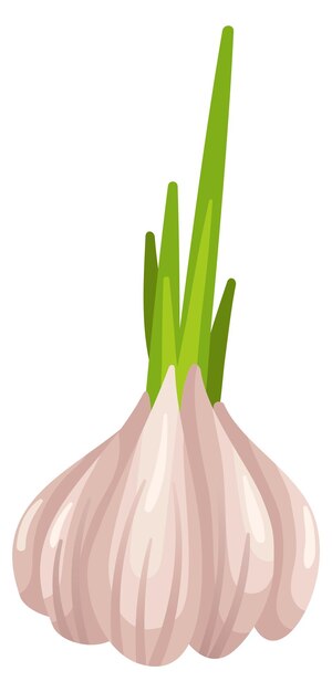 Plik wektorowy czosnek zielony łodyga świeżych zdrowych warzyw kreskówki na białym tle
