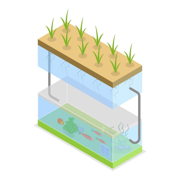 Plik wektorowy d ilustracja płaskiego wektora izometrycznego systemów uprawy metod rolnictwa cieplarnianego