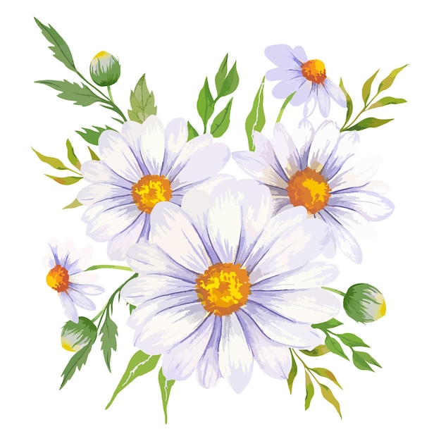 Plik wektorowy daisy akwarela ilustracja bukiet rumianku