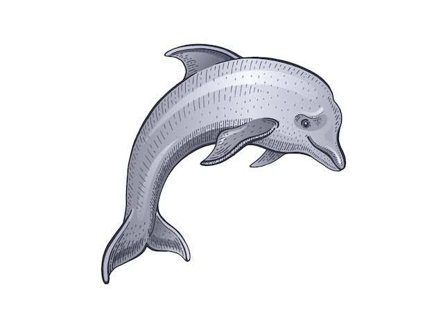 Delfin wektor szkic rysunek ilustracja linia delfin morski Vintage ręcznie rysowane akwarela tatuaż