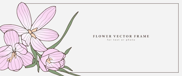 Plik wektorowy delikatna ramka kwiatu wektora z różowymi krokusami i zielonymi liliami ramka na tekst fotograficzny, wizytówki, pocztówki i prezentacje