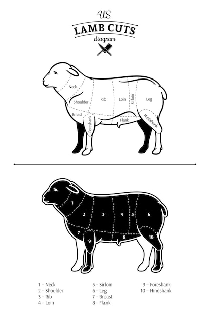 Plik wektorowy diagram amerykańskich kawałków jagnięcia